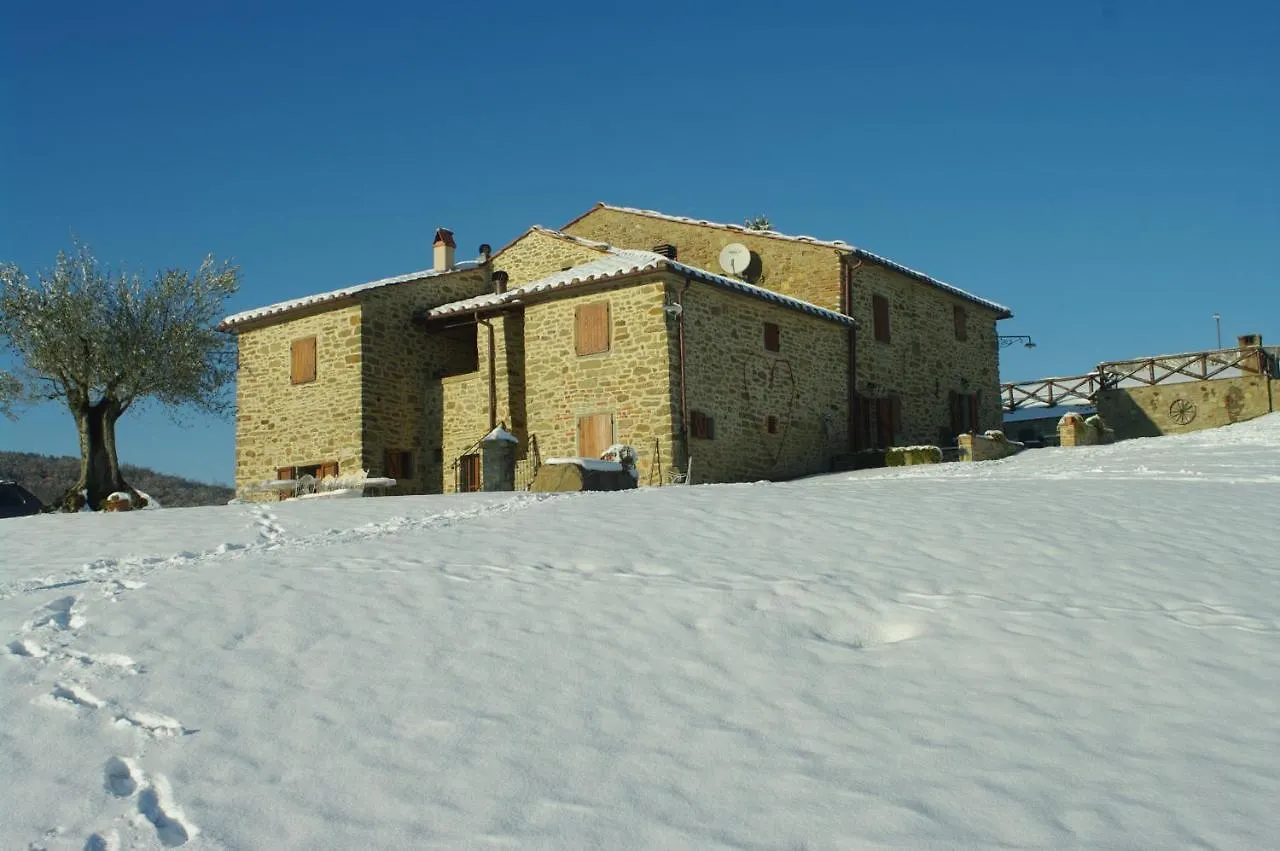 Agriturismo D'Ambiano Arezzo